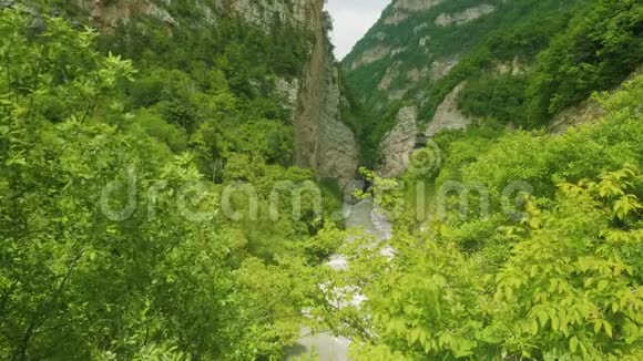 河流在奥塞梯山脉的洞穴中流淌充满了多汁的绿色植物视频的预览图