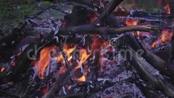 在大自然中燃烧视频的预览图
