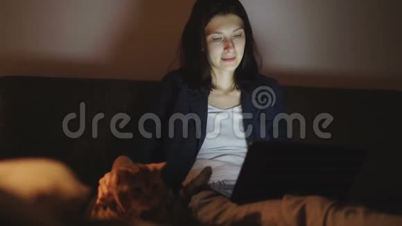 晚上坐在沙发上看着笔记本电脑和抚摸猫的年轻女子视频的预览图