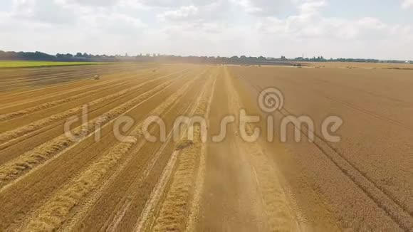 联合收割机在田间采集黄金熟小麦空中景色视频的预览图
