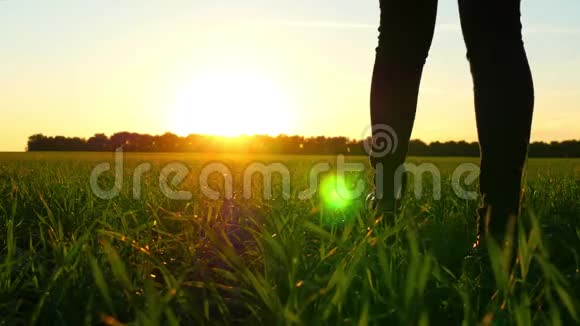 穿牛仔裤的女性腿在夕阳背景下的绿色草坪上行走太阳眩光视频的预览图