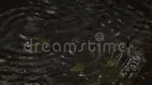 水滴落在水中涟漪闭合视频的预览图