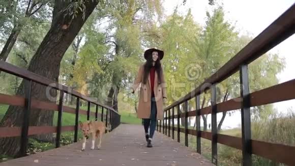 在公共公园遛狗的时髦女人视频的预览图