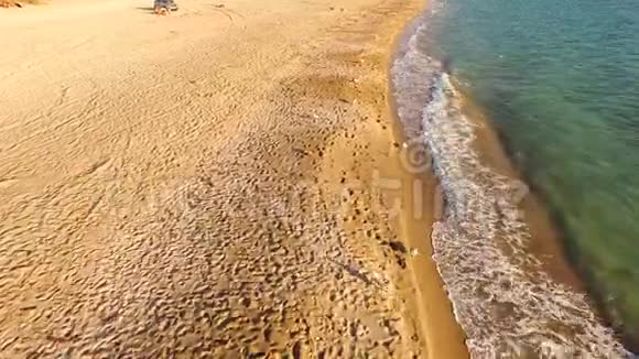 沿海砂线被踩踏鸟的视野视频的预览图
