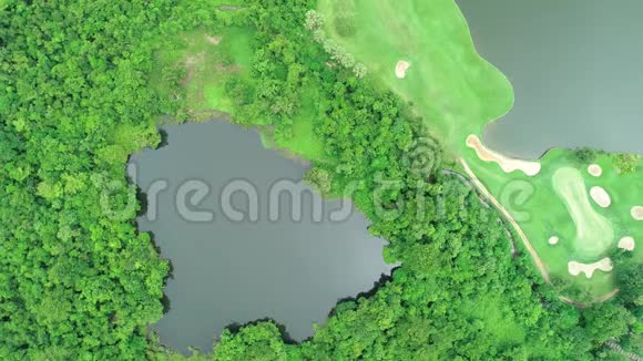 鸟瞰无人机在高尔夫球场和绿色森林的顶部向下射击视频的预览图