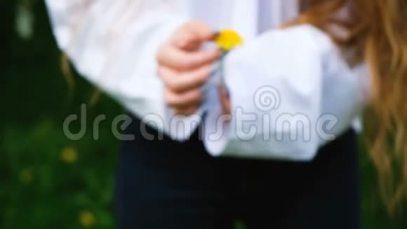 年轻女子穿着白色衬衫手里捧着一朵黄色的蒲公英花特写动作缓慢视频的预览图