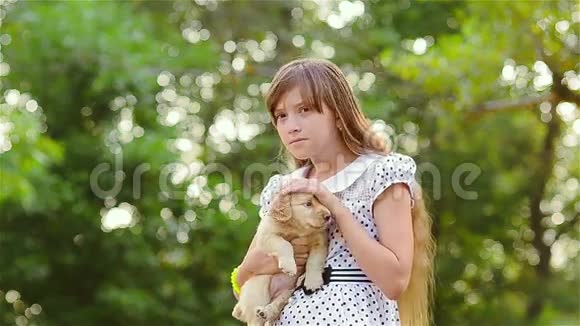 女孩用手熨一只小狗视频的预览图