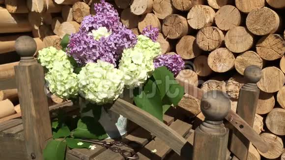 紫丁香和白丁香的排列视频的预览图