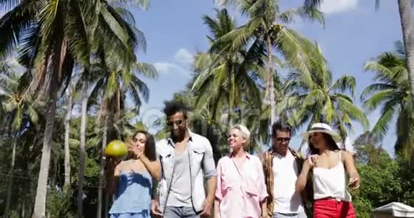 群聊玩椰风走户外棕榈树快乐微笑混合种族男女视频的预览图