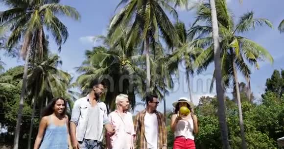 人群群聊抱着椰子走户外棕榈树快乐的微笑混合了种族男人和女人视频的预览图
