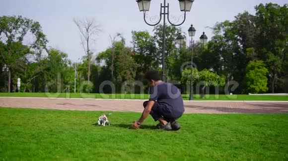年轻英俊的非洲男人在公园里和小狗玩耍一起在绿草上奔跑小狗狗狗狗狗视频的预览图