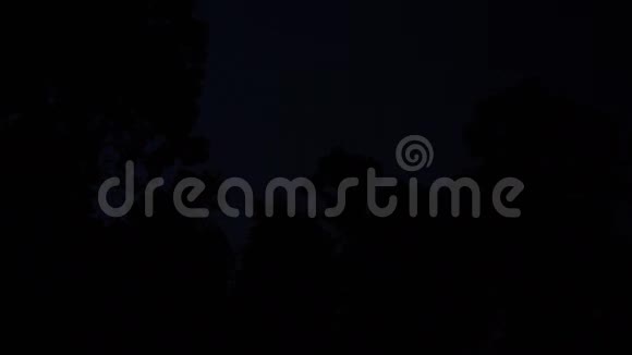 夜晚森林里的闪电视频的预览图