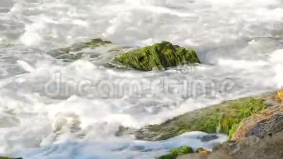 海中老石上长满绿藻海水和海浪被石头冲刷视频的预览图