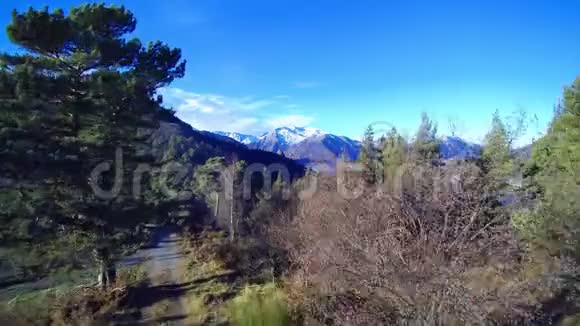 在一座比雷恩山上飞过一片森林旁边是一片云海雪蒙卡姆山出现在背景中视频的预览图