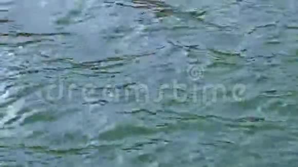 池中的水荡漾着水视频的预览图