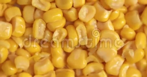 玉米籽粒转动模式视频的预览图