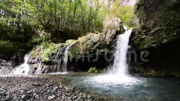 日本富锦宫秋叶瀑布视频的预览图