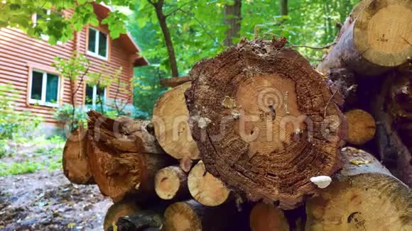 刚被偷的树干躺在绿色森林的木屋附近伐木原木建筑坐落在树顶上视频的预览图