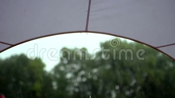 夏雨一场雷雨城市公园里的大雨水从树冠遮阳处大量下降视频的预览图