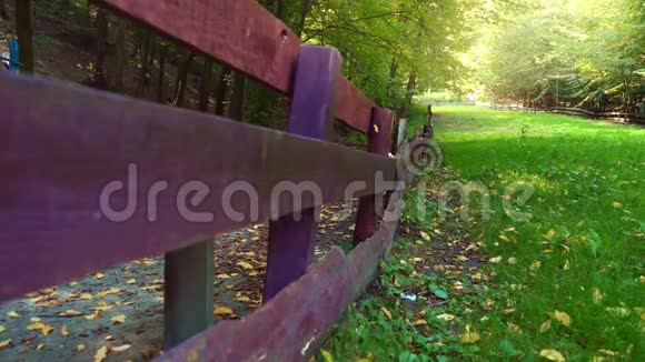 绿色森林中的纵向木栅栏绿色草地覆盖的森林中的道路夏季公园视频的预览图