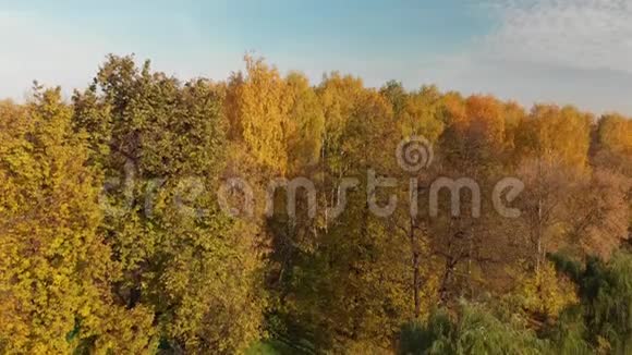 俄罗斯莫斯科伊兹梅洛沃公园秋季航班视频的预览图