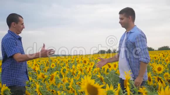 两个农民男子握手交易业务探索步行检查向日葵作物田间慢动作视频视频的预览图