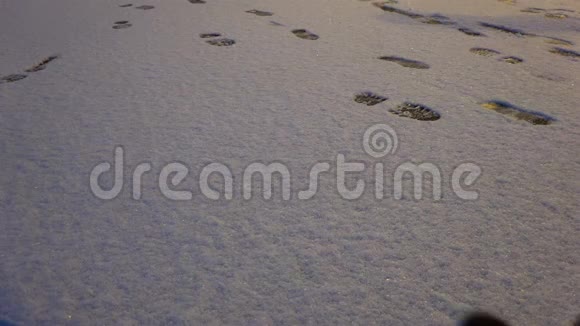 一个穿靴子的女人站在雪地上留下脚印视频的预览图