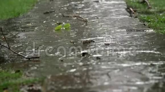 特写雨滴落在小路上夏天的雨一场雷雨一场倾盆大雨在娱乐中心在一棵松树上视频的预览图