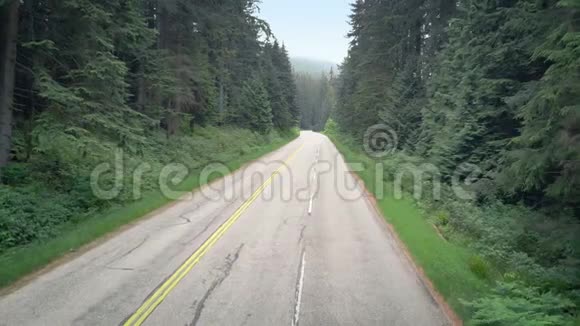 骑自行车的人沿着高速公路穿过森林视频的预览图