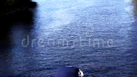 在河面上解剖的私人摩托艇视频的预览图