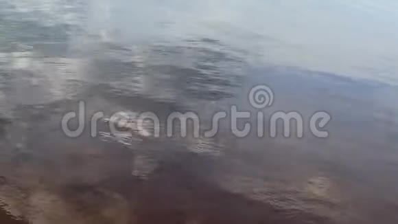 平静的湖面上泛起淡淡的涟漪视频的预览图