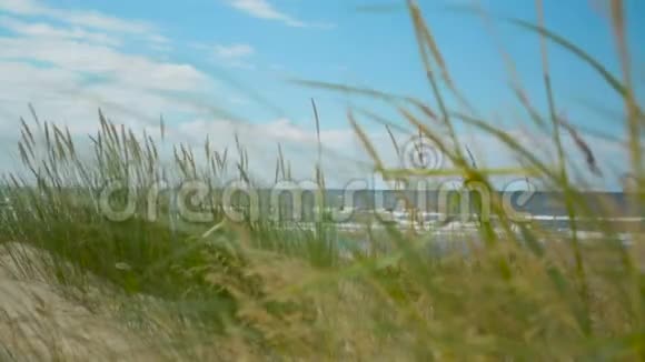 海滩上的草地上有海和云集中在背景上视频的预览图