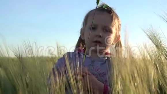 麦田里快乐的小女孩视频的预览图