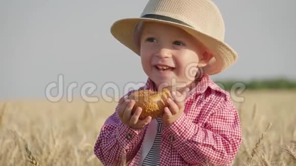 快乐的戴帽子的小蹒跚学步的孩子在日落时站在麦田里吃面包夏季乡村生活和农业视频的预览图