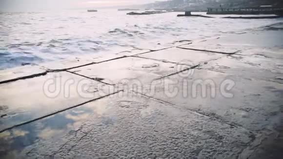 日落时分一只孤独的哈士奇狗在暴风雨中走在海边失去的宠物慢动作视频的预览图