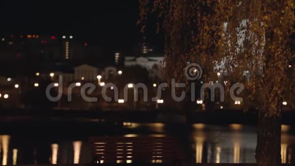 秋日夜城胡同灯笼树在秋天的黄桦树的背景下空荡荡的长凳矗立在旁边视频的预览图