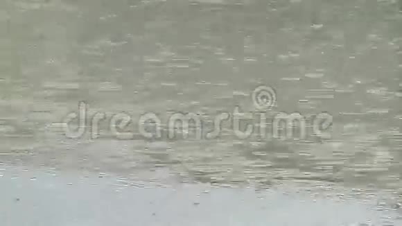 河边下雨天视频的预览图