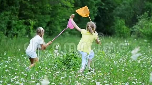 在绿绿的洋甘菊的草坪上小朋友拿着网到处跑尝试捉蝴蝶蚱蜢他们跑跳视频的预览图