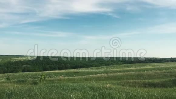 野绿野自然蓝天景观自然俄罗斯景观绿草如山生活方式小森林理念视频的预览图