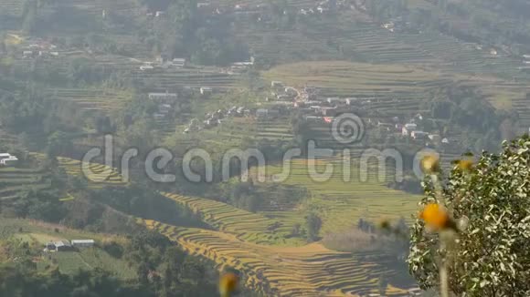 乡村水稻梯田景观喜马拉雅山绿色农村地区水稻梯田全景视频的预览图