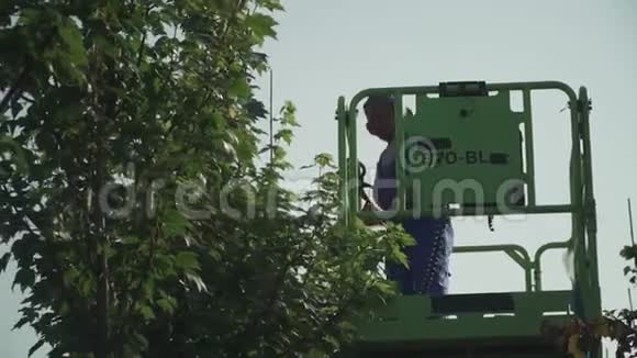 成年工人在树上剪树叶视频的预览图