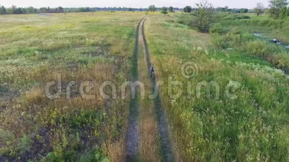 男孩骑自行车的空中镜头乡间小路夏季农业领域乌克兰性质视频的预览图