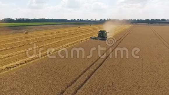 收割者用鹳在田里收割小麦视频的预览图