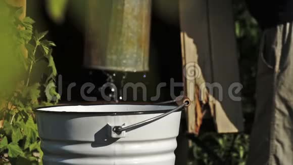 一个人倒在一个桶里刚从乡下的一个抽水井里取水视频的预览图