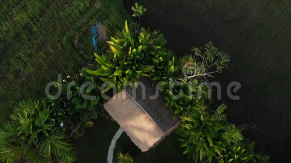 印尼巴厘岛2018年9月30日巴厘岛热带豪华别墅4K鸟瞰图印度尼西亚视频的预览图