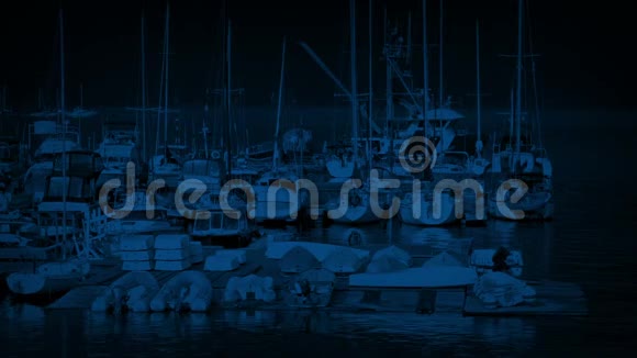 晚上有很多帆船码头视频的预览图
