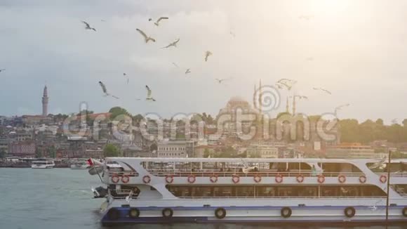 伊斯坦布尔博斯普鲁斯土耳其在旧城的背景下海鸥飞过大海视频的预览图