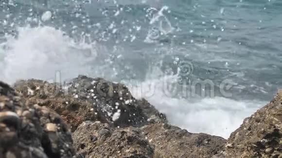 极端波浪在缓慢运动中压碎海岸视频的预览图