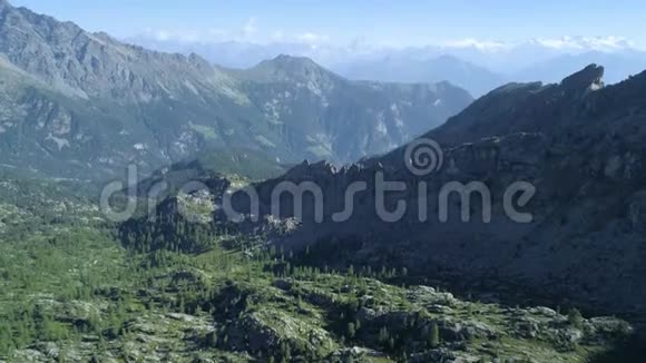 在阳光明媚的夏日带着物质角树向后移动在松树林山谷之上欧洲意大利阿尔卑斯山山谷奥斯塔户外视频的预览图