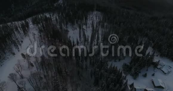 从冬山针叶林上的无人机观看4k视频视频的预览图